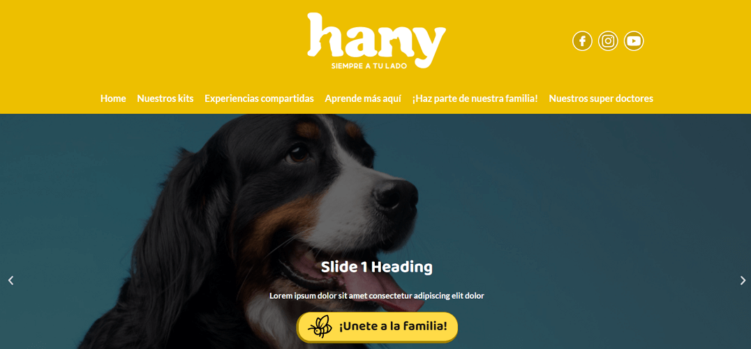 imagen proyecto hany